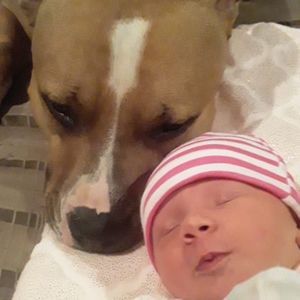 Meet your Posher, Kenneth